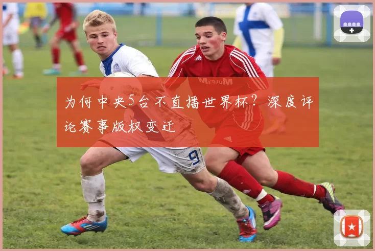 为何中央5台不直播世界杯?深度评论赛事版权变迁