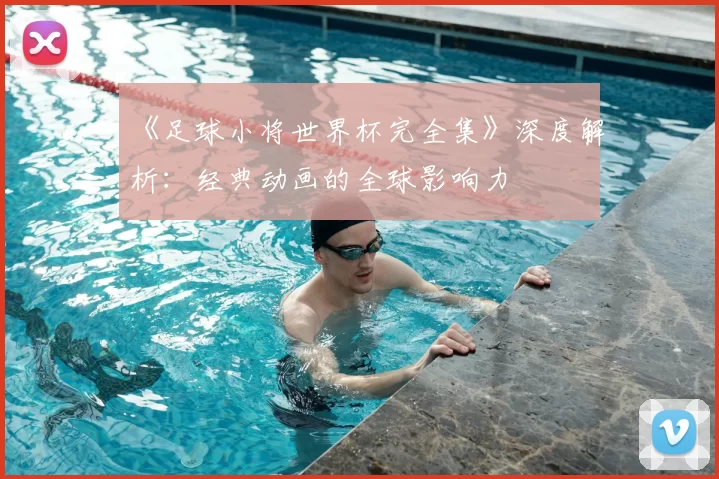 《足球小将世界杯完全集》深度解析：经典动画的全球影响力