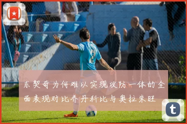 东契奇为何难以实现攻防一体的全面表现对比乔丹科比与奥拉朱旺
