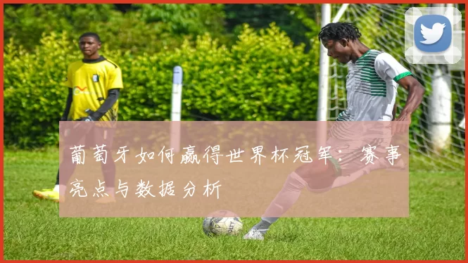 葡萄牙如何赢得世界杯冠军：赛事亮点与数据分析
