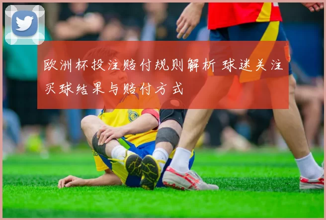 欧洲杯投注赔付规则解析 球迷关注买球结果与赔付方式