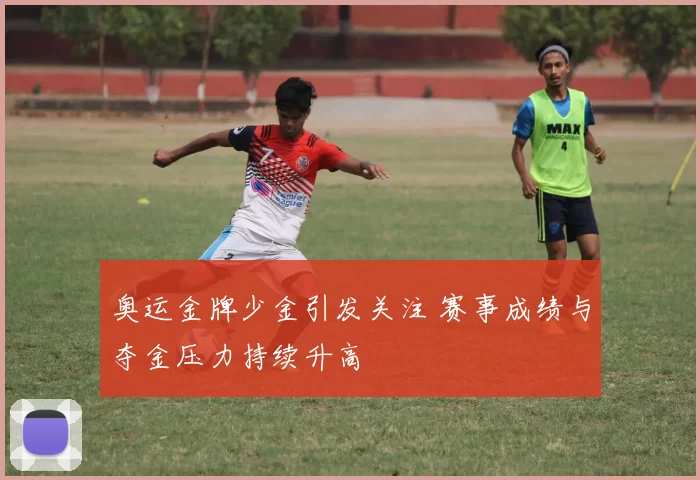 奥运金牌少金引发关注 赛事成绩与夺金压力持续升高
