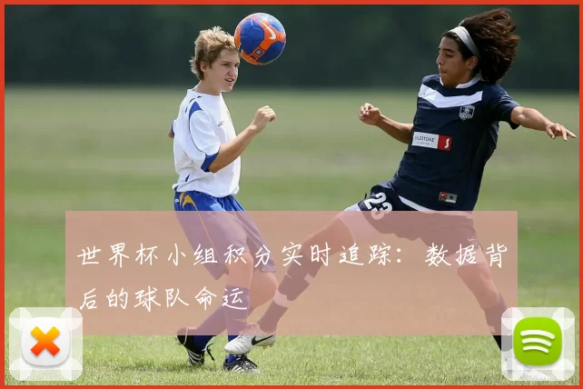 世界杯小组积分实时追踪:数据背后的球队命运