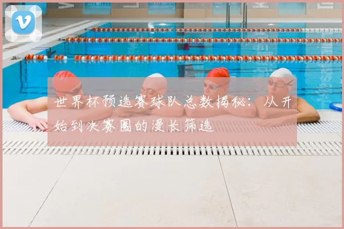 世界杯预选赛球队总数揭秘：从开始到决赛圈的漫长筛选