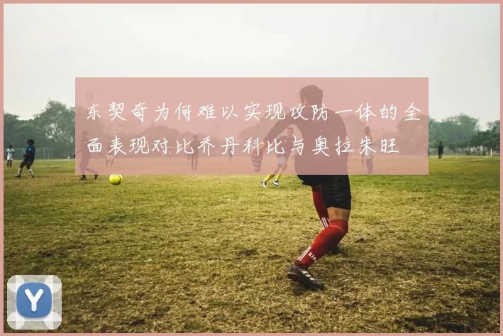 东契奇为何难以实现攻防一体的全面表现对比乔丹科比与奥拉朱旺