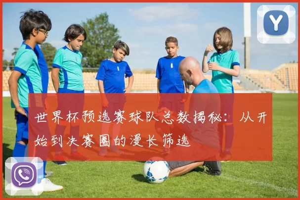 世界杯预选赛球队总数揭秘：从开始到决赛圈的漫长筛选