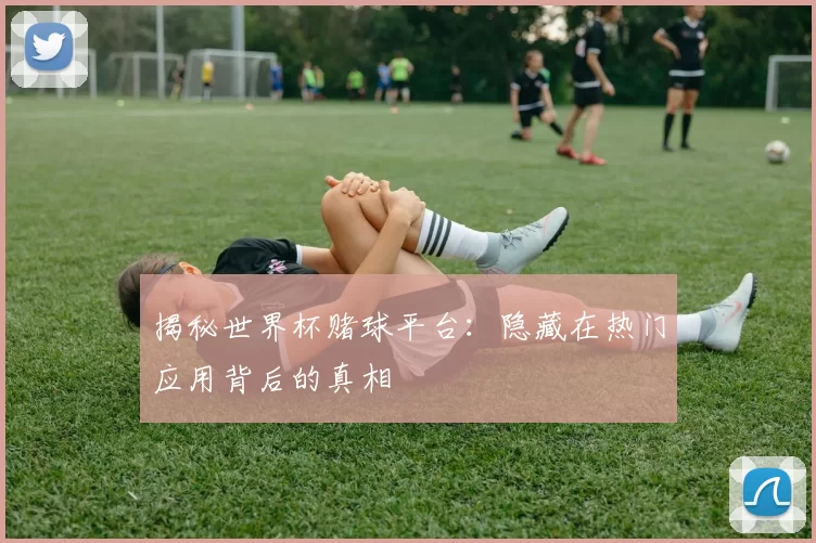 揭秘世界杯赌球平台：隐藏在热门应用背后的真相