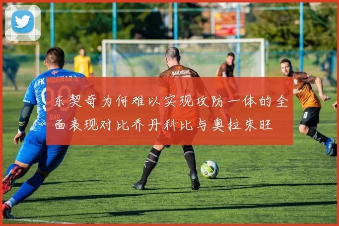 东契奇为何难以实现攻防一体的全面表现对比乔丹科比与奥拉朱旺