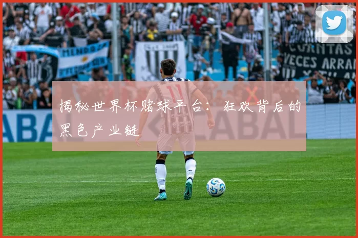 揭秘世界杯赌球平台：狂欢背后的黑色产业链