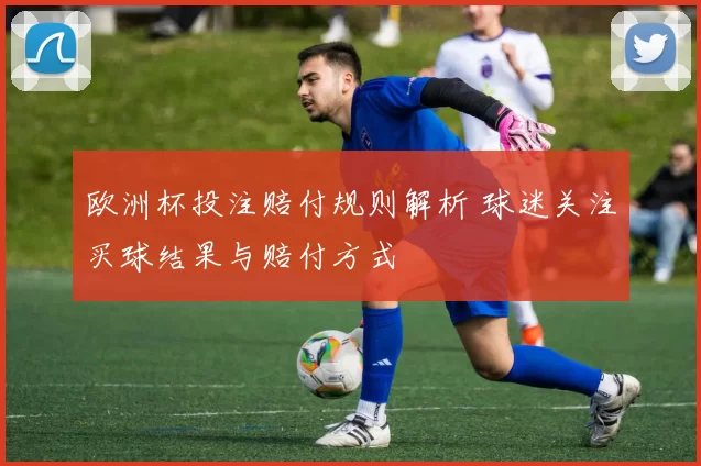 欧洲杯投注赔付规则解析 球迷关注买球结果与赔付方式